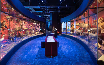 Genelec IP loudspeakers deliver immersive soundscape to Melbourne Museum