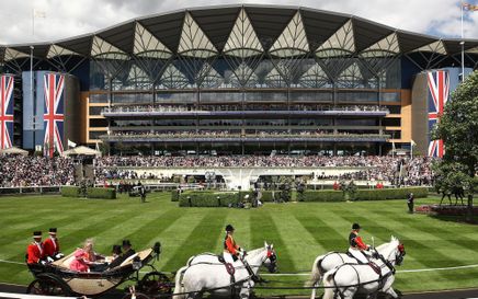 SSE: Off To The Races