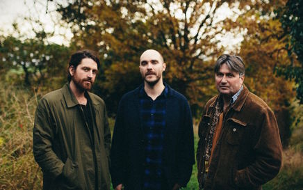 LYR: Language Is Universal